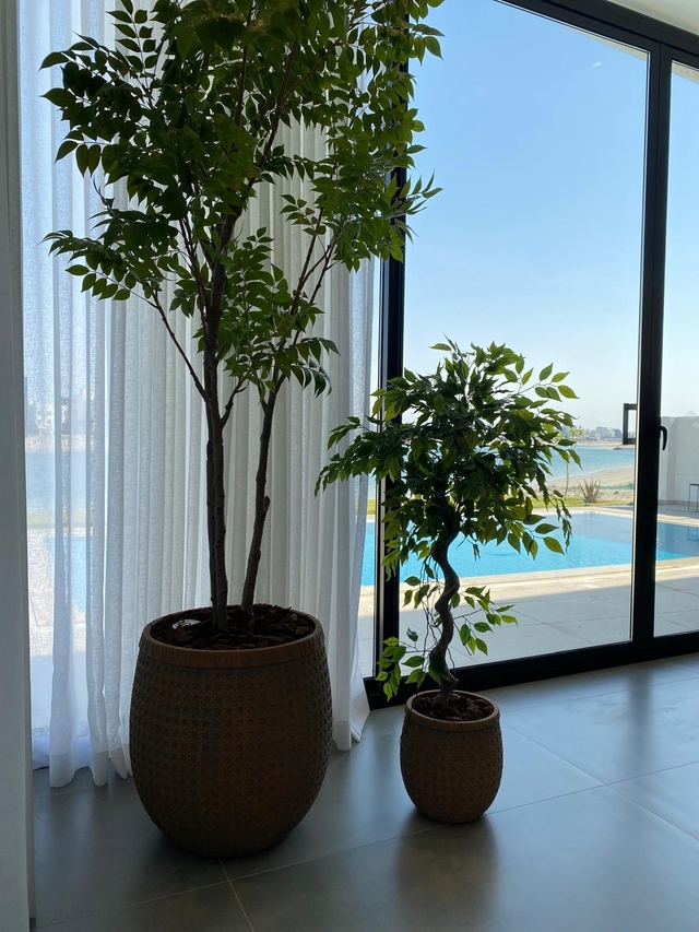 OB Chalet